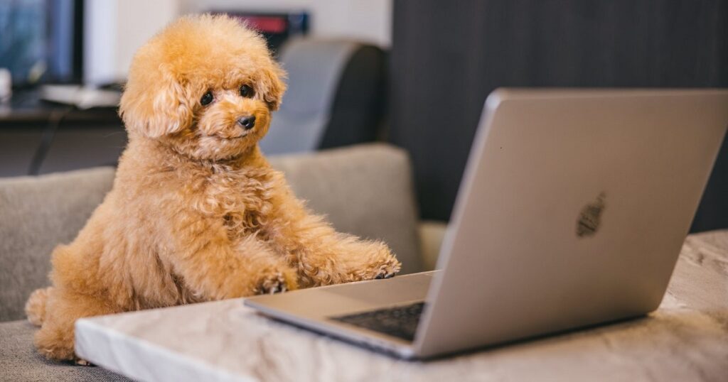 登録_PC作業_1200_630